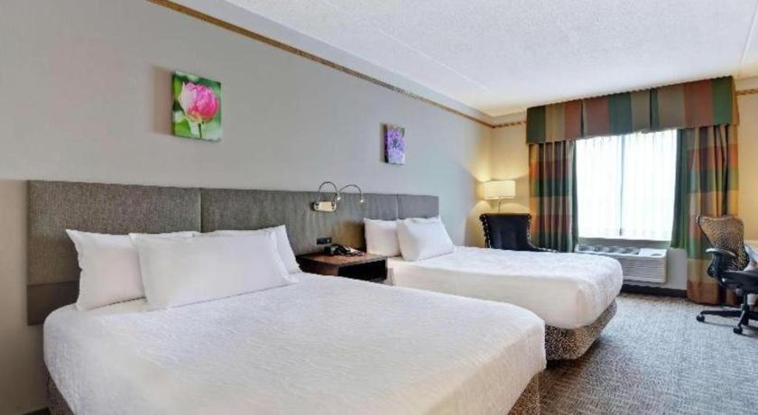 Hilton Garden Inn Appleton/Kimberly Esterno foto